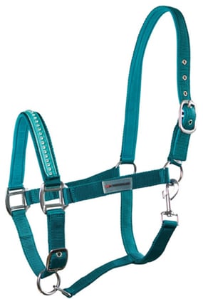 Ohlávka podložená s kamínky tyrkysová