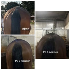 UNIQORN MINERAL POWER 3 kg - MINERAL 4