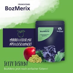 Bozmerix - revoluční Vitamlsky proti zánětům a pro zdravé klouby - 970_9c47af33_bozmerixcrunchtabs_pb.jpg