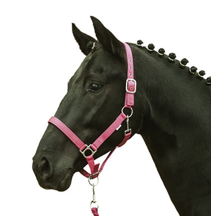 Ohlávka podložená HKM Star růžová