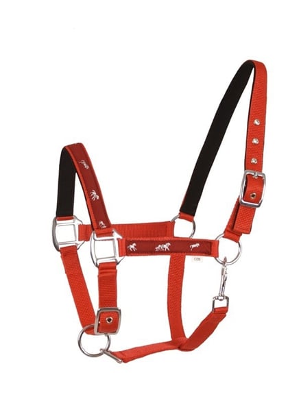 Ohlávka Api Active Horse červená