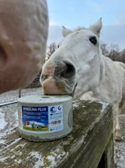 Minerální liz z mořské soli se spirulinou bohatou na vitamíny a esenciální živiny - 929_2dafd7af_33cb8d7a-5acc-46c5-a868-9b2ba912fbef.jpeg