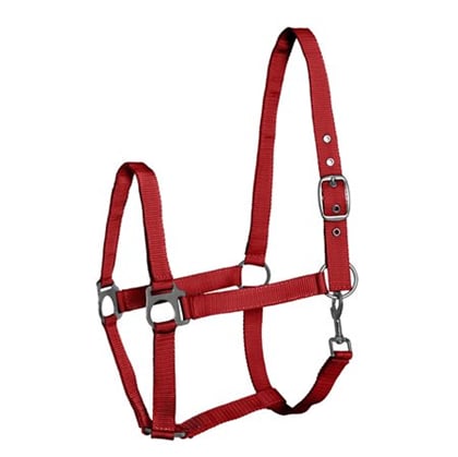 Ohlávka hříběcí FP červená