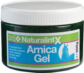 Arnika gel na namožené svaly s MSM - 620_f8bf15e5_arnica-gel.jpg