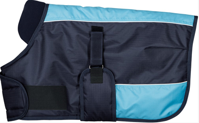 Výběhová zateplená 200g hříběcí deka modro/tyrkysová - FOAL3