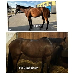 UNIQORN MINERAL POWER 3 kg - MINERAL 2