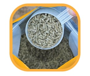 Five star optimum balancer, komplexní krmný doplněk pro koně - 436_3fbe3628_optimumbalancergranule.jpg