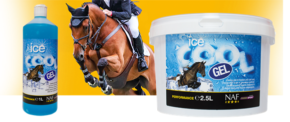 Ice cool gel, chladivý gel s minerály na unavené nohy - 470_6adfe09b_ice-cool-gel.png