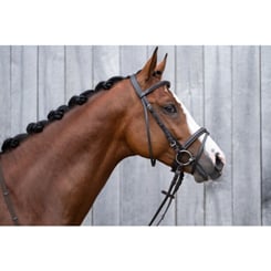 Uzdečka  HKM Jana prošívaná hnědá - jana hn.2