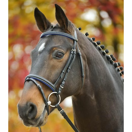 Uzdečka Diamond s modrými kamínky