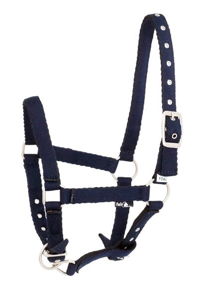 Ohlávka hříběcí Fair Play tmavě modrá