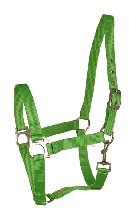 Ohlávka nylonová Fair Play zelená 