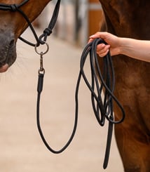 Vodítko pracovní  Waldhausen 4m černé - lano 2