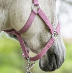 Ohlávka podložená třpytivá Marvel růžová - marvel 4