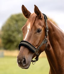 Ohlávka Elegant Waldhausen khaki - elegant khaki 2