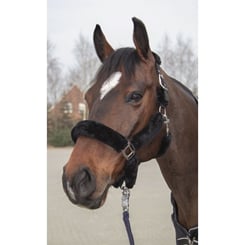 Ohlávka s beránkem Teddy Well-Style černá - ohlavka teddy 2