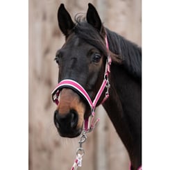 Ohlávka s vodítkem HKM magenta - set magenta 3