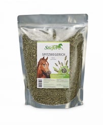 Jitrocel - 285_42e0ac2f_stiefel_spitzwegerich_500g_st008201.jpg