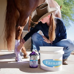 FARNAM White N Brite 946 ml šampon pro světlé koně - farnam. 2