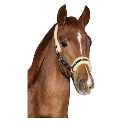 Ohlávka hříběcí s koníky a kožíškem černá