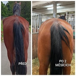 UNIQORN MINERAL POWER 3 kg - MINERAL 5