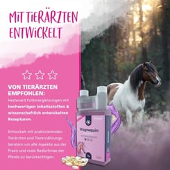 Magnequin s L-tryptofanem, hořčíkem a vitamínem B12 pro klid a uvolnění - 973_b554d716_magnequin_24-01-20245.jpg