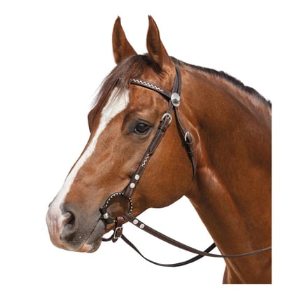 Westernová uzdečka L-pro West s otěžemi Odessa