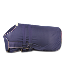 Deka výběhová hříběcí zateplená modrá - foal 2