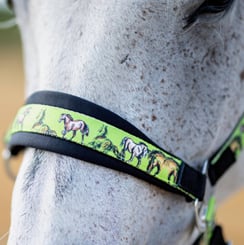 Ohlávka podložená s koníky zelená - ohlavka zelena konici 2