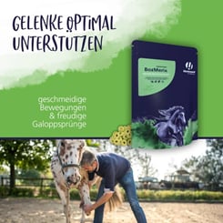 Bozmerix - revoluční Vitamlsky proti zánětům a pro zdravé klouby - 970_2300422d_bozmerixcrunchtabs_.jpg