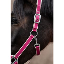 Ohlávka s vodítkem HKM magenta - set magenta 4