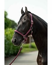 Ohlávka podložená HKM-Samantha- vínová - vinova 2