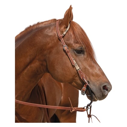 Westernová uzdečka L-pro West  jednouška Amarillo