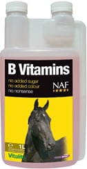 B vitamins pro soustředěnost a vitalitu koní - 476_f8b3fcff_b-vitamins.jpg