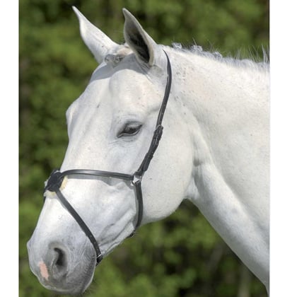 Mexický nánosník kožený