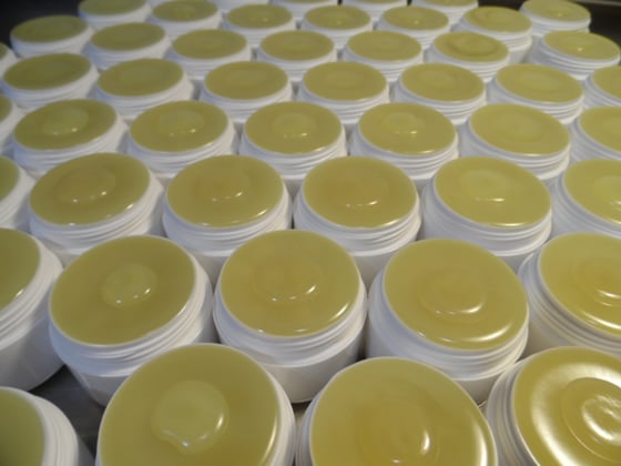 Kaštanová mast Forte 30ml