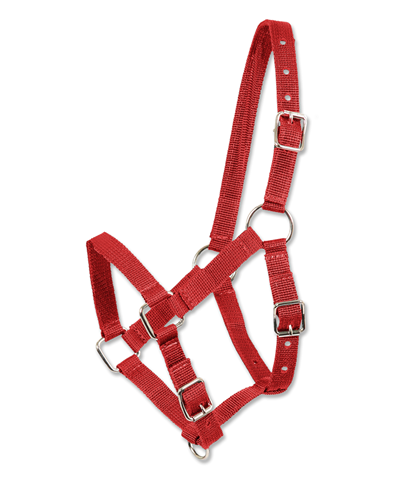 Ohlávka hříběcí červená