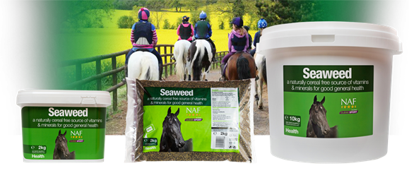 Seaweed mořské řasy - 463_8a29605c_seaweed.png