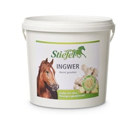 Zázvor - 321_029f4ec8_stiefel_ingwer_1kg_st003401.jpg