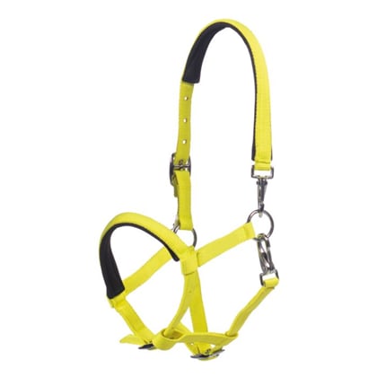 Ohlávka podložená HKM -Millie- neon žlutá