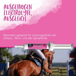 Duralyte pasta pro rychlou kompenzaci ztráty elektrolytů - 974_9d8424ca_pb_duralyte_paste4.jpg