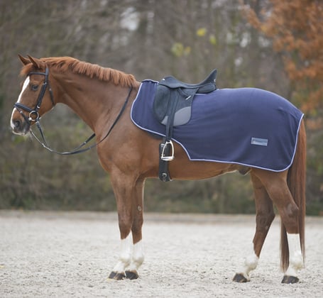 Deka bederní Waldhausen modrá