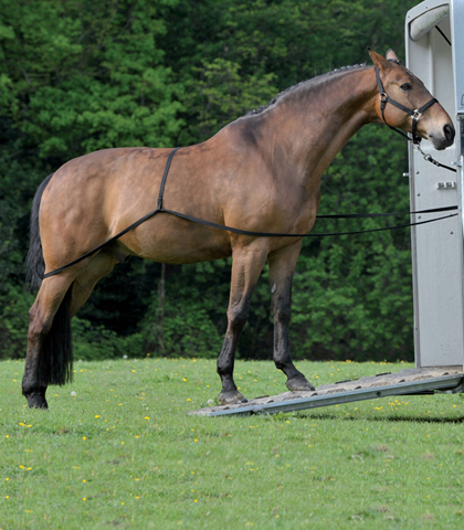 Nakládací nylonová lonž 