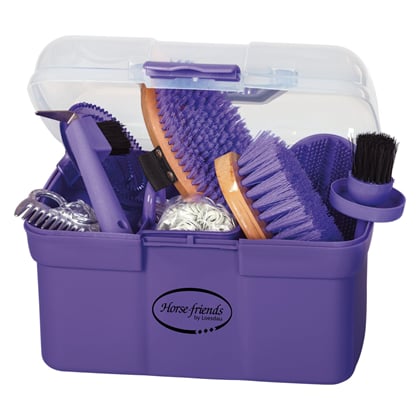 Box s čištěním  2V1 fialový 