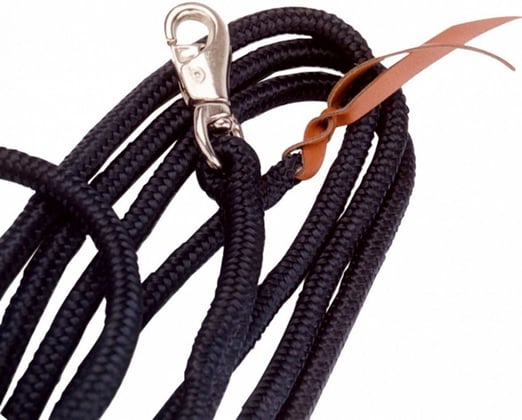 Provazová lonž / vodítko BANG, silná karabina - délka 3,8 m