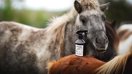 SkinPET Super spray 500 ml - skinpet4