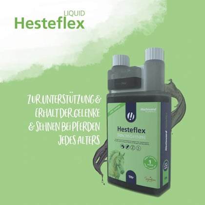 Hesteflex na silné klouby a chrupavky s boswelií a chondroitinem