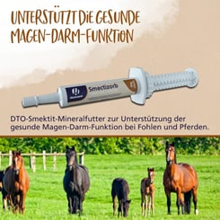 Smectizorb pro odstranění toxinů a na podporu trávení - 976_8eb656d6_pp_smectizorbpaste4.jpg