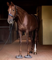 Balanční podložky Waldhausen Health + Care - podlozky 4