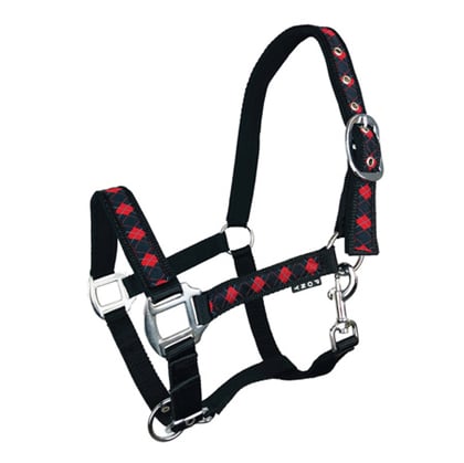 Ohlávka podložená Káro black/red